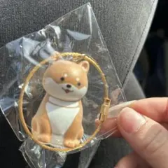 わんこのタイムカプセル