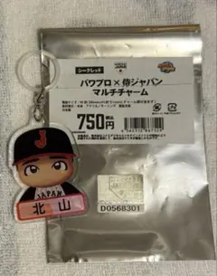 北山亘基 侍ジャパン パワプロマルチチャーム