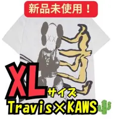 Travis Scott Cactus Jack KAWS Fragment T