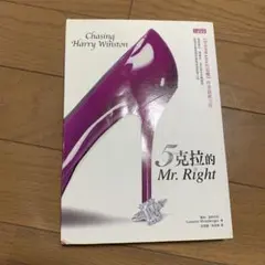 5克拉的Mr. Right 繁体字 書籍