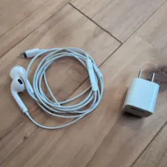 Apple純正 Lightningイヤフォン 電源アダプタセット