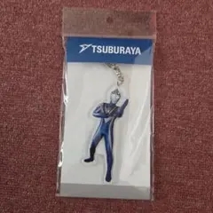 円谷プロ ウルトラマンアグル アクリルキーホルダーのサムネイル