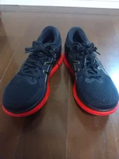 Item thumbnail for item 1d19db8f-85ac-49b5-9c1a-0143d713970a