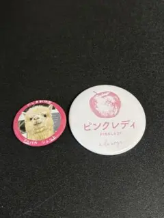 缶バッジ　まとめ売り　簡易包装