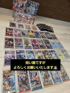 ポケモンカードゲーム 未開封パック まとめ売り 33種293パック【引退