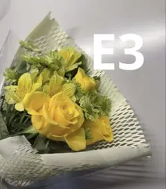 2枚 L E3