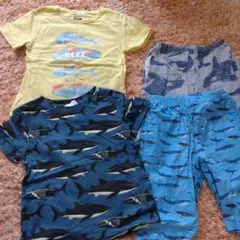 1999円！BEAMS mini Tシャツ、パンツセット 100cm〜120cm