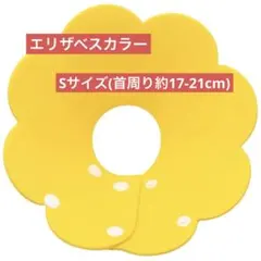 Item thumbnail for item e2cbc715-8455-40cd-9106-3fa1f4141e7f