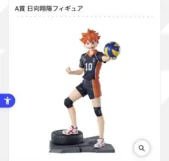 ハイキュー!! ゴミ捨て場の決戦 一番くじ 日向翔陽 フィギュアのサムネイル
