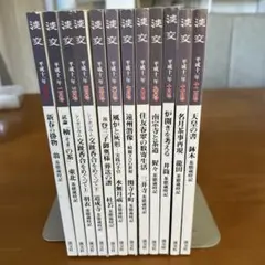 デルフィニア戦記全巻セット＋外伝2冊＋1993-2013 全仕事(21冊