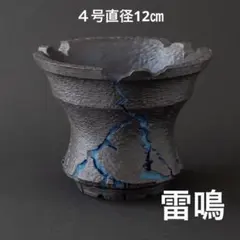 強健】沖縄の直射日光で締まったアガベ ホリダ ＆ 3Dプリンター鉢