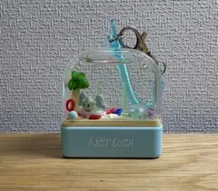 NCTWISH COLOR (Surf Ver.) トレカ付き