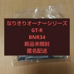 なりきりオーナーシリーズ GT-R BNR34