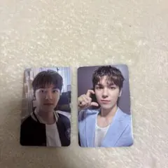 バーノン　VERNON カラットランド2024