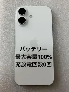 Item thumbnail for item 363de2c3-f8eb-469b-9f8b-e63523d716e4