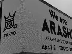 【びんちゃん様専用】We are ARASHI 落下物10枚セット×2セット