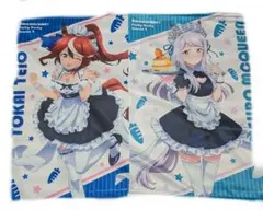 ウマ娘 メジロマックイーン トウカイテイオー ゲーマーズ タペストリー