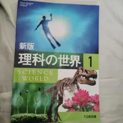 Item thumbnail for item 3acf8a19-bfcd-41c1-95d4-d08790c6920b