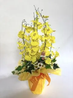 オンシジューム　黄色 アレンジ　ガーデンノーム　高さ４５cm プレゼント　飾りのサムネイル