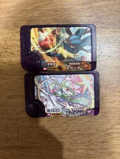 ポケモンフレンダ　ルカリオ　サーナイト　メガ進化　スーパートレジャー