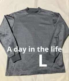 A day in the lifeハイネックカットソー グレーモックネック 光沢のサムネイル