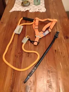 未使用品　中型犬用ハーネス.首輪のサムネイル