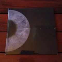 プラスティックマン　クローサー　テクノ　ハウス　AFX　Aphex Twin