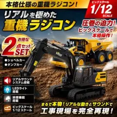 非売品】1/43 大型ダンプカー 模型 Quon 高積載 DUMP - メルカリ