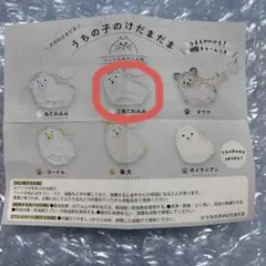 うちの子のけだまだま　犬　三角たれみみ