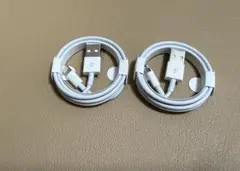 純正品 iPhone Apple ライトニングケーブル 充電 2個セット