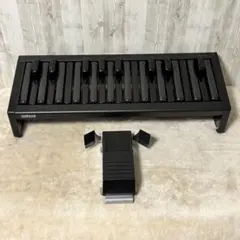 YAMAHA エレクトーン 補助ペダル PK-2&エクスプレッション用補助ペダル YAMAHA（ヤマハ） エレクトーン 補助ペダル鍵盤＋補助