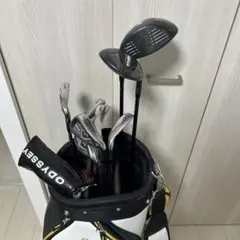 Callaway WARBIRD クラブセットのサムネイル
