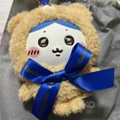 ☆箱無し 発送 ハチワレ