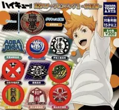 ハイキュー　高校モチーフピンバッジ2セット