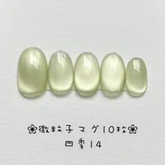 【即購入ok】マグネットネイルチップ　ショートオーバル　ニュアンス　四季14