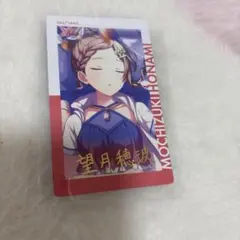 望月穂波　エピカ　箔押し