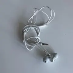 Item thumbnail for item f2341295-0880-44b1-be7a-f5200caf557f