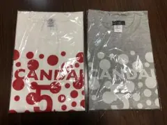 SCANDAL 5周年記念tシャツ 2種セット