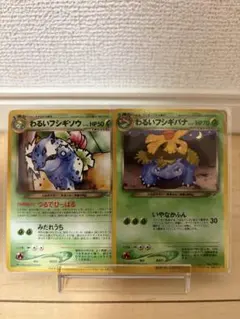 わるいフシギバナ & わるいフシギソウ トレーナーズ vol.10プロモ 旧裏のサムネイル
