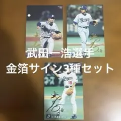 プロ野球チップスカード 武田一浩選手 金箔サイン3種まとめセットのサムネイル