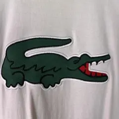 ラコステテーシャツのサムネイル