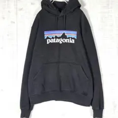 人気✨️Patagonia パタゴニア プルオーバーパーカー ビッグロゴ 黒 S
