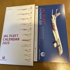 日本航空 JAL フリートカレンダー 2025