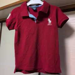 Polo by Ralph Lauren 赤 ポロシャツ サイズ8
