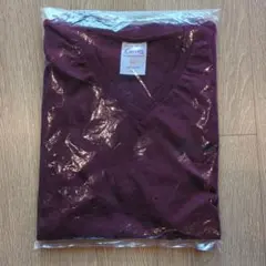 シズかな静香さん専用【新品未使用】Curves 半袖Tシャツ 2セット