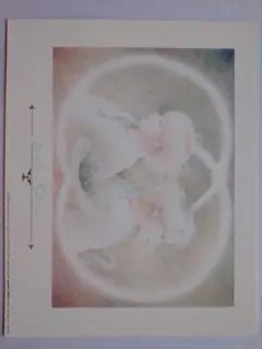 きたのじゅんこ【風が吹く時】lithograph - メルカリ