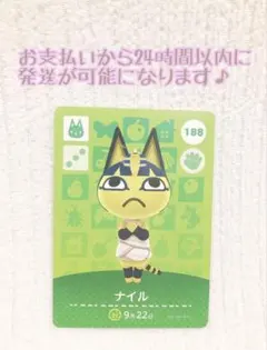 未使用.あつ森amiiboカード.ナイル