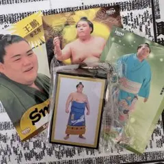 Item thumbnail for item f507a099-ee5b-49f0-b13e-f848d8bbb82b