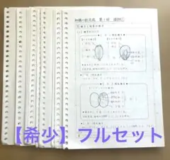知識の総完成　理科総まとめ　SAPIX 欠番なしフルセット　中学受験　サピックス