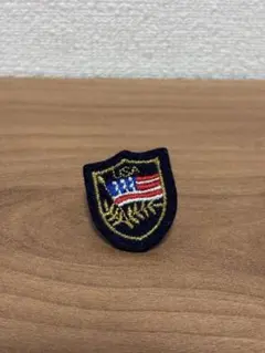 2025年最新】USA ピンバッジ USの人気アイテム - メルカリ